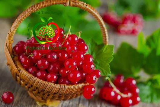 Fructe de coacăz roșu, bobițe roșii, acrișoare, suculente și plăcut aromate, fructe gustoase, ideale pentru consum, siropuri, dulcețuri și deserturi.
