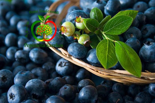 Fructe de afin de cultură, afine mari, albastre, dulci și suculente.