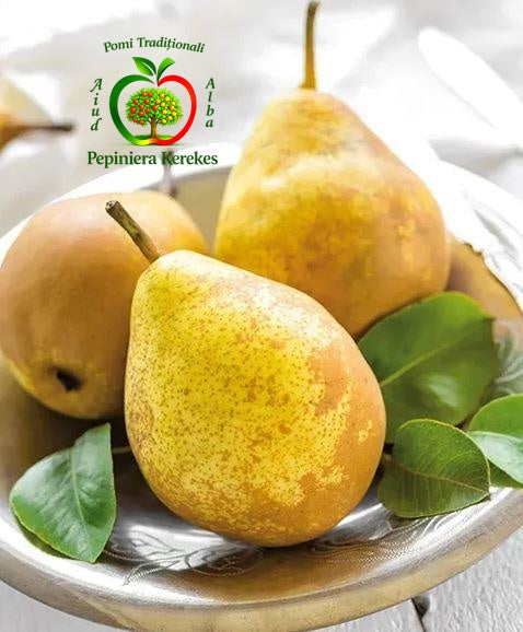 Fructe de păr Williams Galben, pere dulci, aromate, suculente și foarte parfumate.