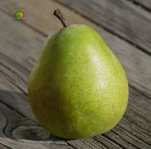 Fructe de păr Lucas, soi de toamnă cu pere gustoase, aromate și suculente.